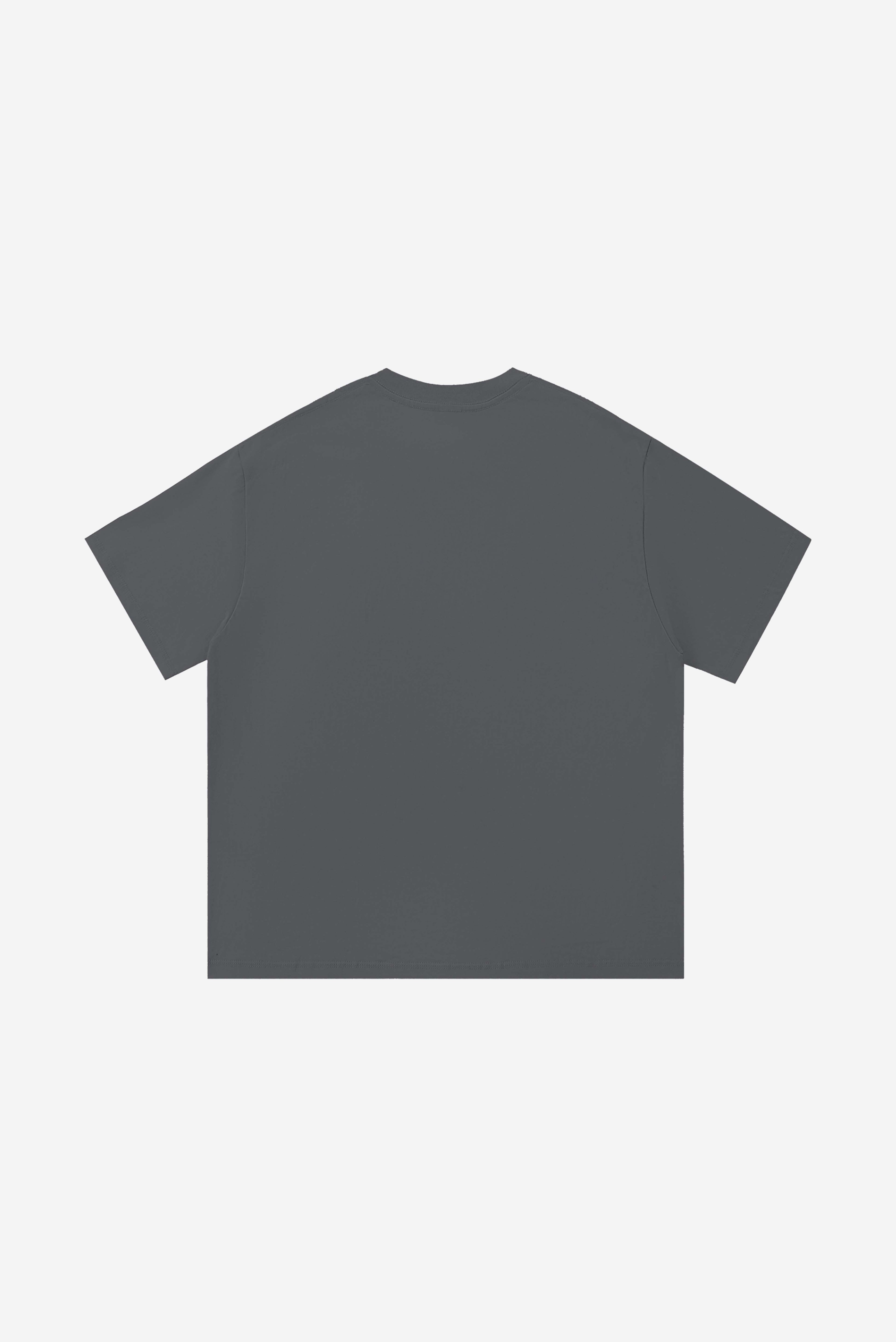 Rose-City Collage - T-Shirt (Grey)