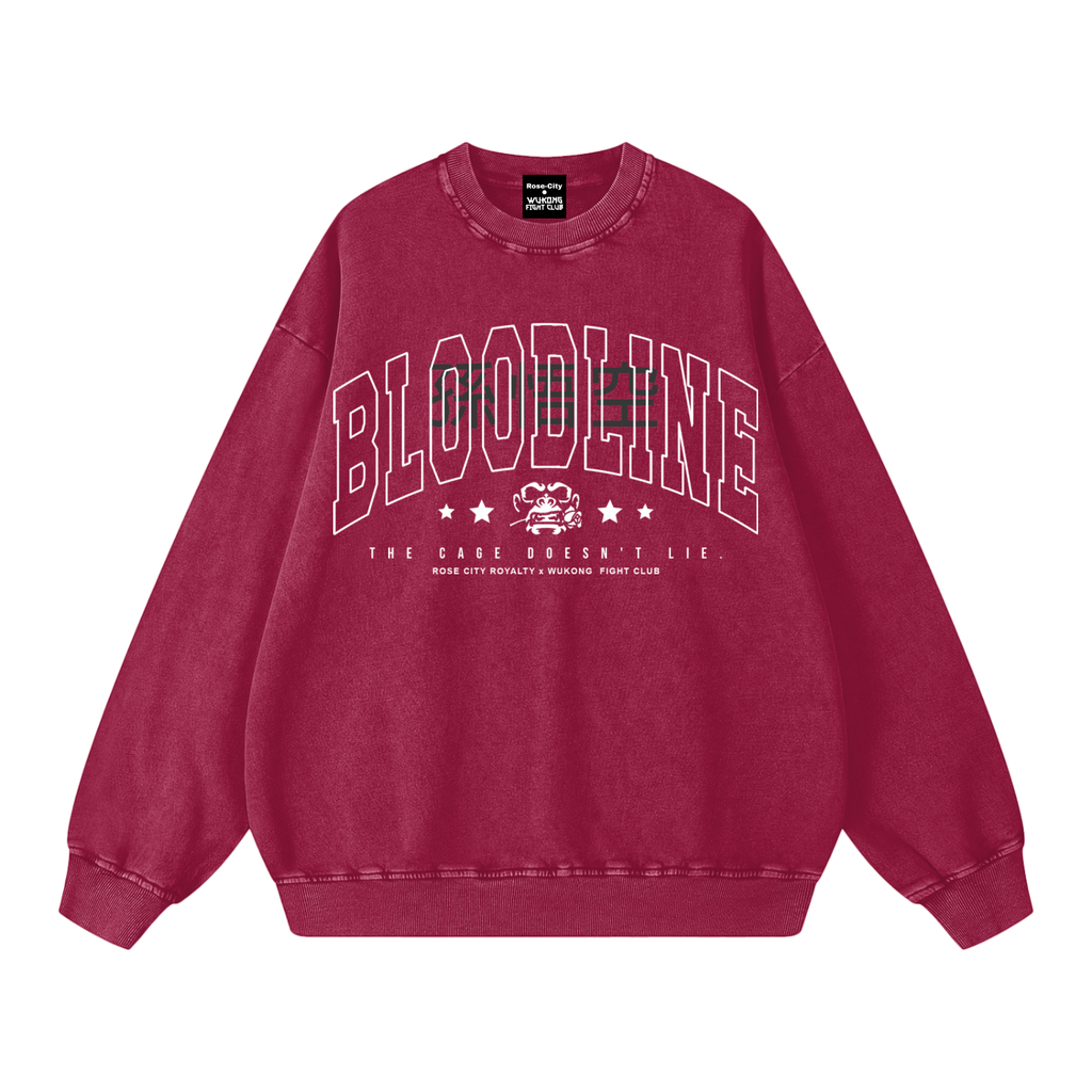 Snow Washed Oversized Sweatshirt