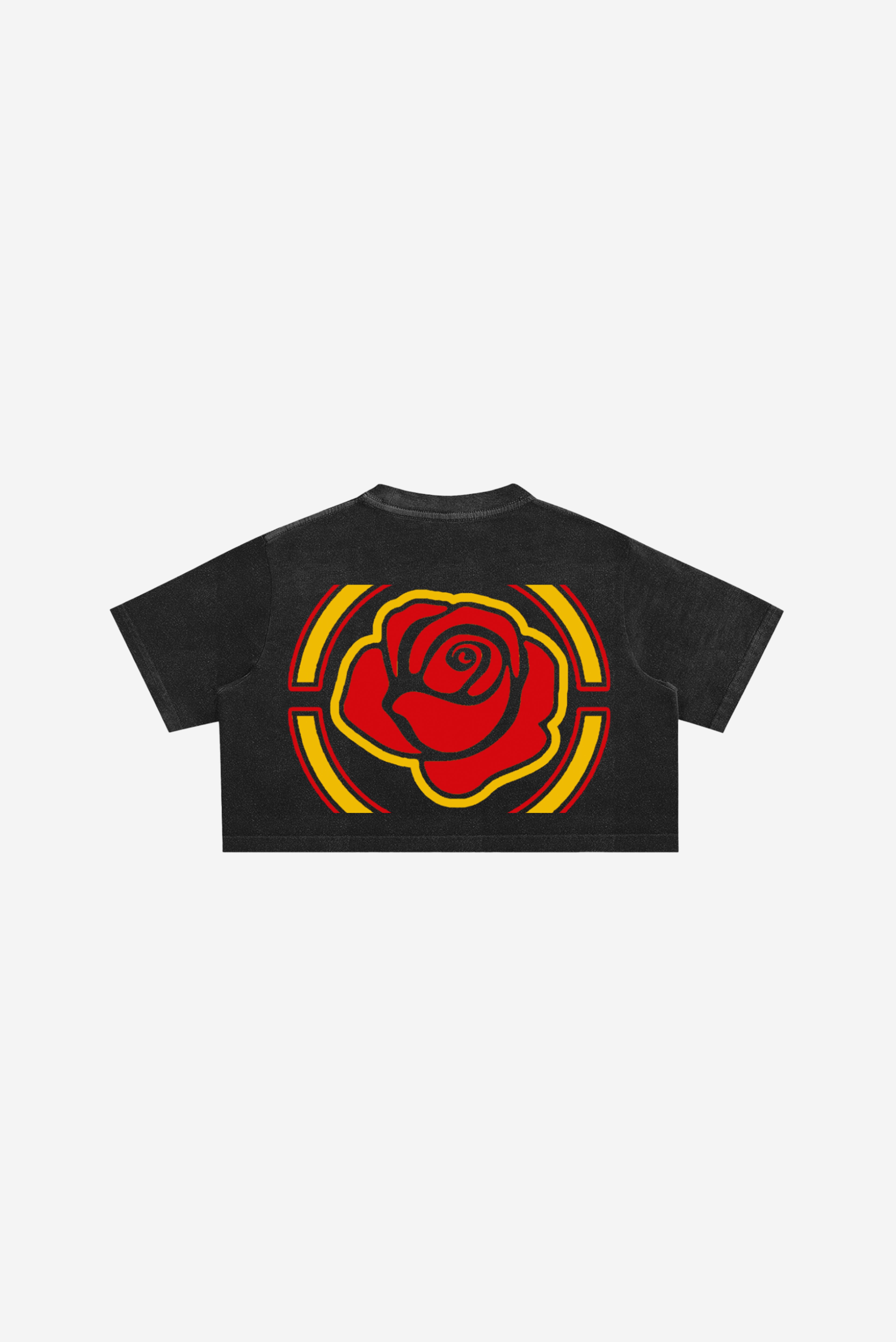 RC Concert - Snow Washed Crop Top (Black)